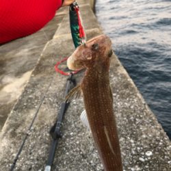 一文字でエソ祭り