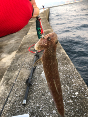 一文字でエソ祭り