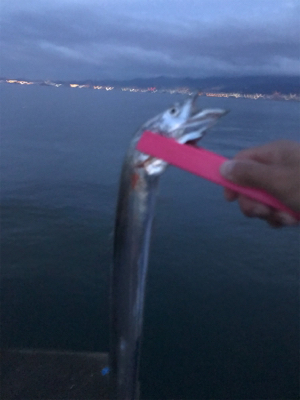 西宮で五目達成