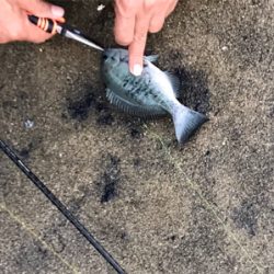 連休妻と釣り旅行