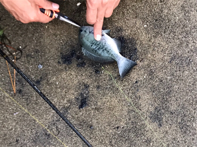 連休妻と釣り旅行