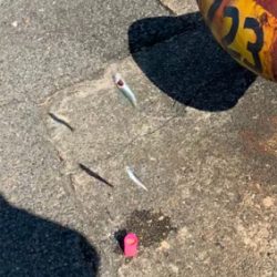 霞埠頭 ウール岸壁にて。