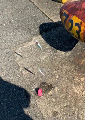 霞埠頭 ウール岸壁にて。