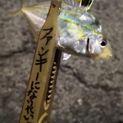 アジング練習 42