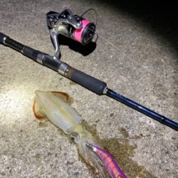 淡路島東側ランガン