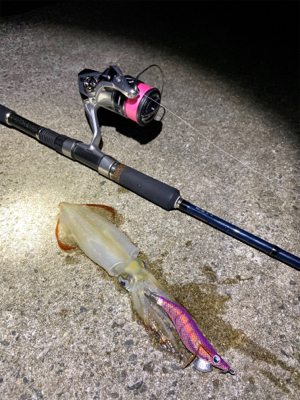 淡路島東側ランガン