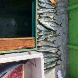 孝洋丸 落とし込み&飲ませ