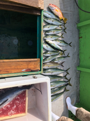 孝洋丸 落とし込み&飲ませ