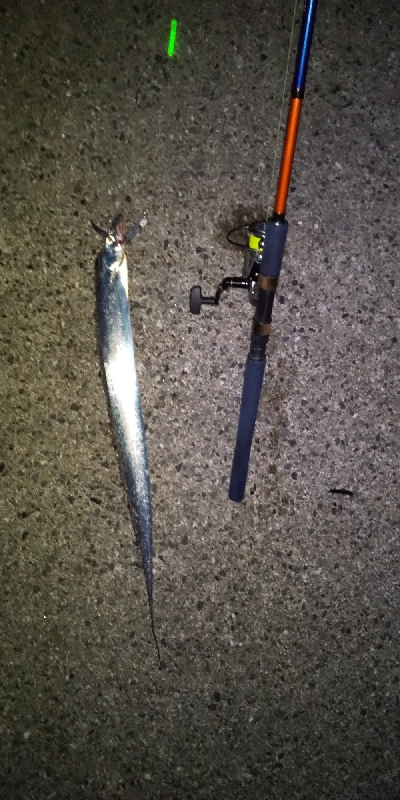 どじょう最強！