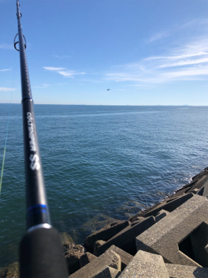 渋い中のハマチ一本