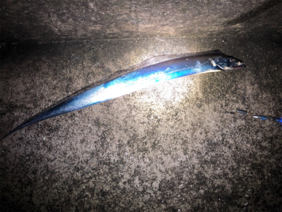 ふらっとタッチ〜