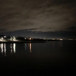 アジ、メバル、サヨリ