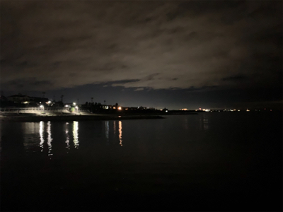 アジ、メバル、サヨリ