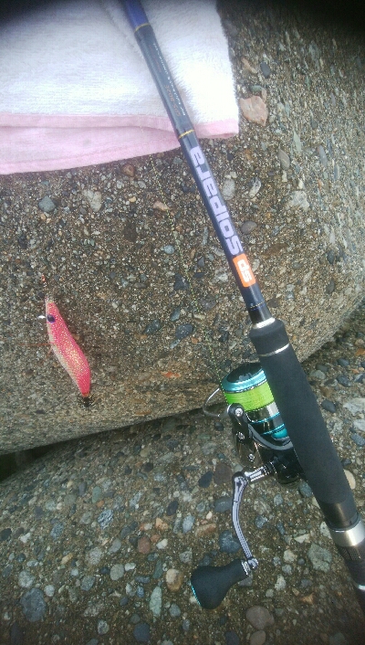 アオリイカ2杯！ジグでもアオリ！？