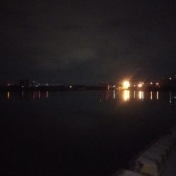 ウキ鯖、テンヤ太刀