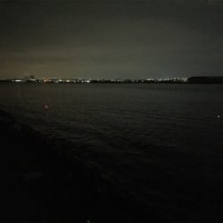 太刀魚の仕掛けでデカ鯵も釣れた！