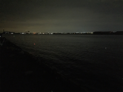 太刀魚の仕掛けでデカ鯵も釣れた！