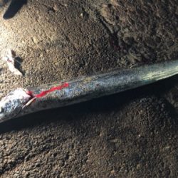 タッチ〜ご機嫌斜め⁉️