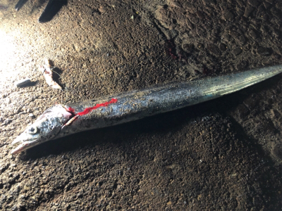 タッチ〜ご機嫌斜め⁉️