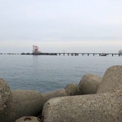 シーバスが釣れなかっので。。。