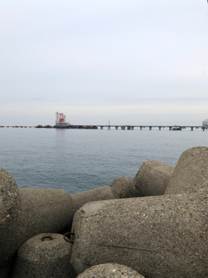 シーバスが釣れなかっので。。。