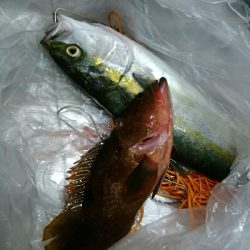 チャンスは足下にある！