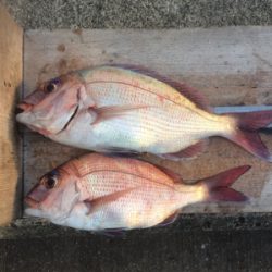 水潮のち、ぼちぼち