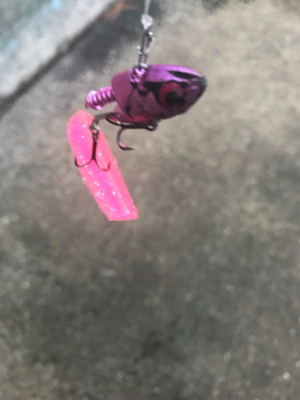 なんとかタチウオ釣れました!