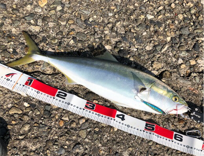 記録更新ショアジギ