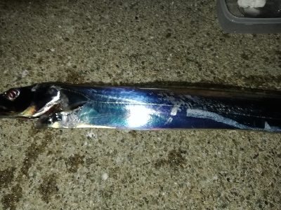 ドラゴン取ったどぉ