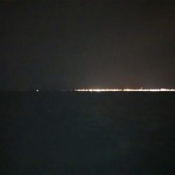 タチウオワインド