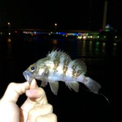 昼間の気温から激変