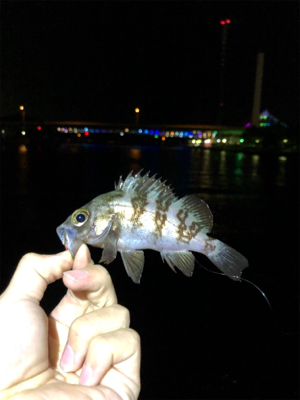 昼間の気温から激変