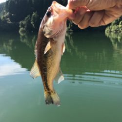 午前中ボート釣行！