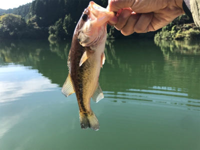 午前中ボート釣行！