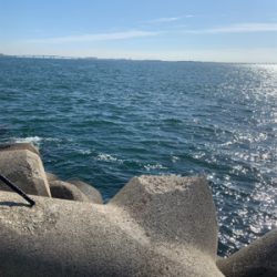 朝まづめタチウオ釣りから青物釣り