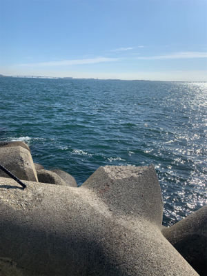朝まづめタチウオ釣りから青物釣り