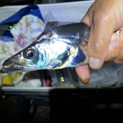 ドラゴンゲット