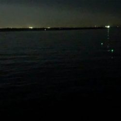 ホームのタッチー調査