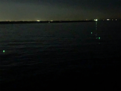 ホームのタッチー調査