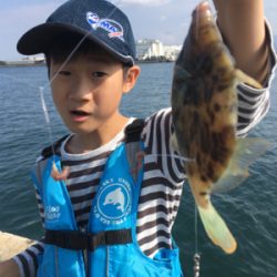 昼はのんびり。夜はバタバタ