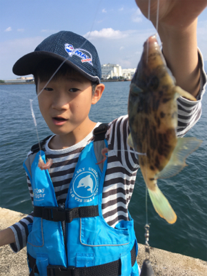 昼はのんびり。夜はバタバタ