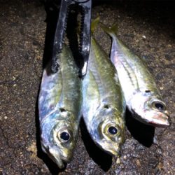 ライトゲーム‼︎