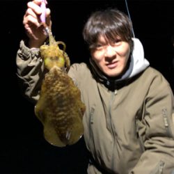 半夜テップラン