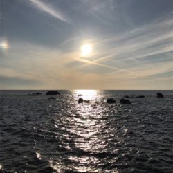 エギングのちアジング