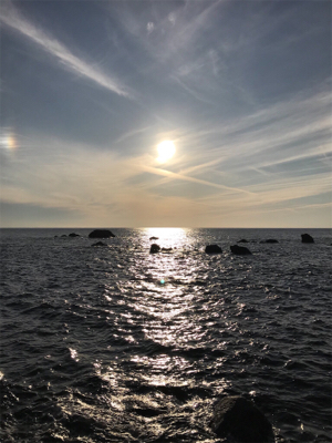 エギングのちアジング