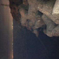 太刀魚・・・渋かった(≧Д≦)