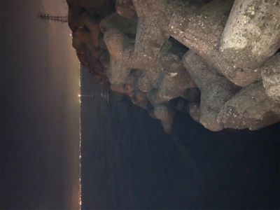 太刀魚・・・渋かった(≧Д≦)