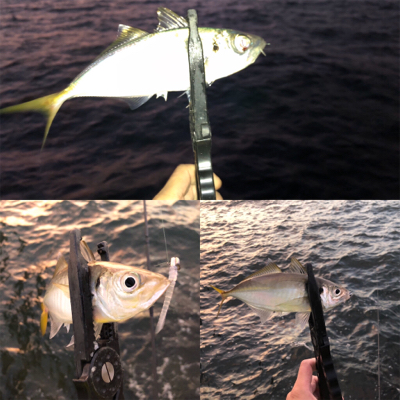 秋のジグ単アジング