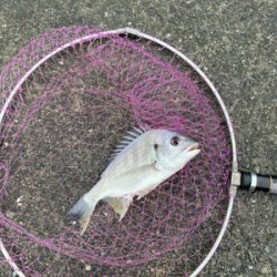 のんびりとフカセ